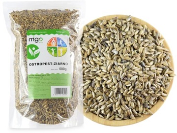 OSTROPEST PLAMISTY ZIARNO - 500g