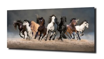 OBRAZ NA SZKLE KONIE GALOP NIEBO 120X60