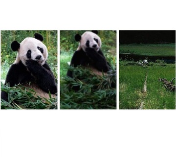 Объектив Apexel APL-JS28X для смартфонов