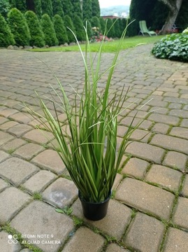 Sztuczna trawa dekoracyjna 50 cm