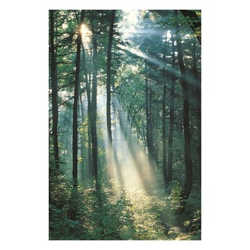 Polyester 3D Waterproof Tapestry each Towel B