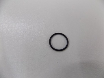 CNH CASE MAGNUM O-RING