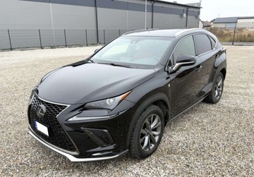 Lexus NX I SUV Facelifting 300 238KM 2019 Lexus NX 4x4 NX 300 2.0 Benz 238 KM 2019r Warszawa 2.0 Benzyna 238KM, zdjęcie 1