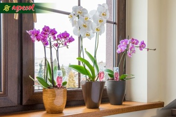 КОНДИЦИОНЕР УДОБРЕНИЯ ОРХИДЕЯ АППЛИКАТОР ORCHID STRONG