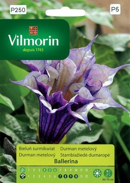 Bieluń Surmikwiat Ballerina 5 ziaren Vilmorin Garden