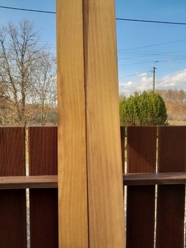 TARCICA MAHOŃ IROKO długa 2