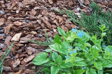 KORA SOSNOWA Ogrodowa ŚREDNIA 20-40mm Torf Humus Ogród 80L