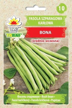 FASOLA SZPARAGOWA KARŁOWA ZIELONOSTRĄKOWA BONA ŚREDNIO WCZESNA NASIONA 30G