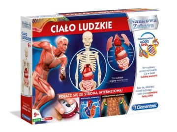 Clementoni Ciało ludzkie 60249 p6