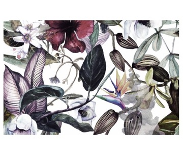 Fototapeta 460x300cm bordowo filoletowy kwiaty