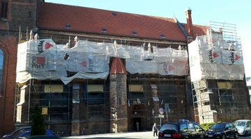 Леса для рождественской дерево