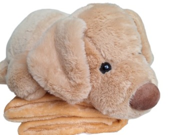 Набор для собак, мягкая игрушка, одеяло, подушка, плюшевая игрушка для собаки 3 в 1, талисман, плюшевый мишка 2 в 1