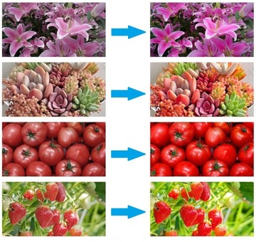 ЛАМПА ДЛЯ РАСТЕНИЙ 180LED 100W