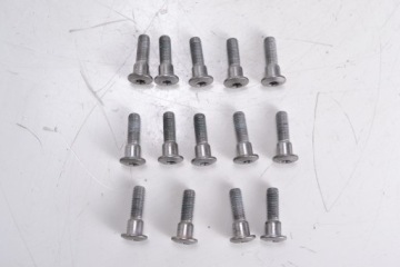 Śruby tarczy hamulcowej TRIUMPH DAYTONA 660 24-25