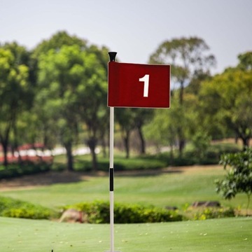 Гольф-паттинг с зеленым флагом и лункой. Практика в помещении и на открытом воздухе. Номер 1.