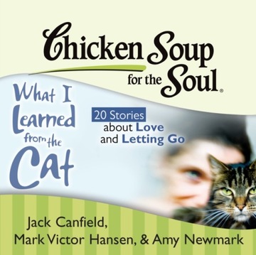 Chicken Soup for the Soul: What I Learned from the