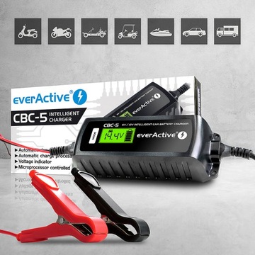 Аккумуляторный выпрямитель EverActive CBC5 6 В/12 В