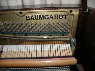= Суперпианино Baumgard 120 см