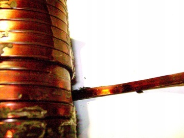 Drut płaski miedziany bednarka nawojowy DNE 5mm2