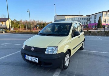 Fiat Panda II Hatchback 5d 1.1 MPI 54KM 2010 Fiat Panda Fiat Panda 1.1 Active, zdjęcie 14