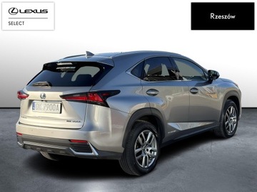 Lexus NX I SUV Facelifting 300h 197KM 2018 Lexus NX 300h Comfort AWD I (2014-2021) NX300h Com, zdjęcie 4