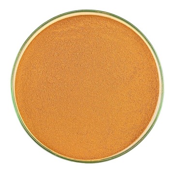 Przyprawa CYNAMON MIELONY (40g) Cinnamomum cassia