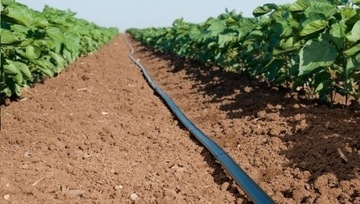 КАПЕЛЬНАЯ ЛЕНТА 500м 15см 8мил эмиттер 1.2л/ч