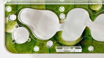 Формикарий с муравьями Antgard House MINI Starter Kit