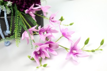 Орхидея в квадрате 85x50 см