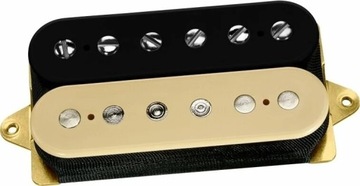 DP 155BC The Tone Zone Zebra