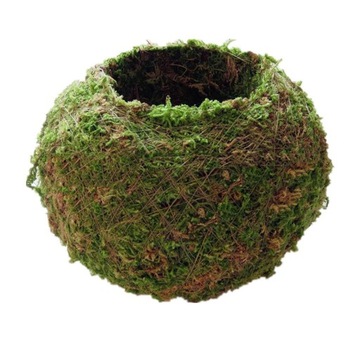 Doniczka Naturalna doniczka Bonsai o splocie