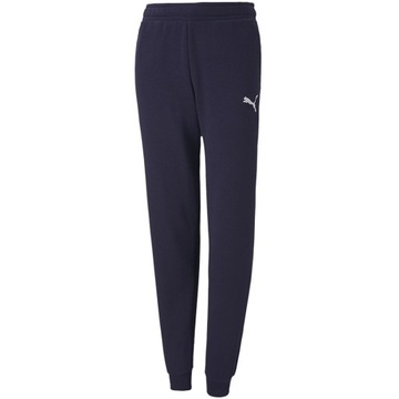 Spodnie dla dzieci Puma teamGOAL 23 Casuals R.128