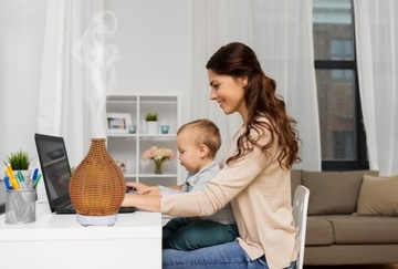 Профессиональный масляный диффузор AROMA FOLK ECO