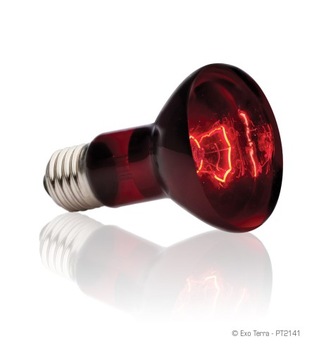Exo Terra Infrared basking spot 75W ŻARÓWKA