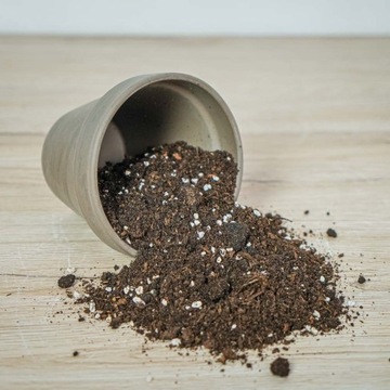 Субстрат для Калатеи Маранты Строманте ПРЕМИУМ