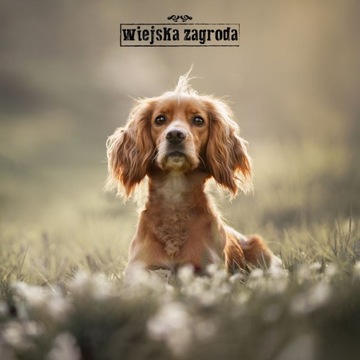 Wiejska Zagroda Karma sucha dla psa INDYK GĘŚ WARZYWA Średnie rasy M 20kg