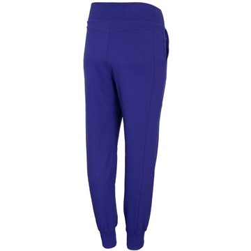Женские спортивные штаны 4F H4L21-SPDD013 36S R.XS