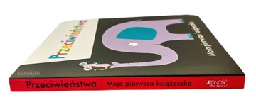 ПРОТИВОПОЛОЖНОСТИ МОЕЙ ПЕРВОЙ КНИГИ «ЕДИНСТВО»