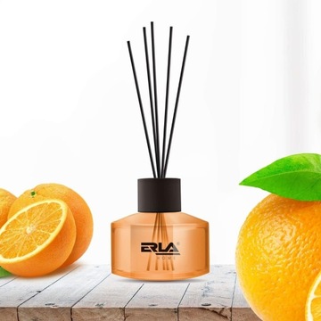 K2-ERLA SATO 50ML NEW DAY