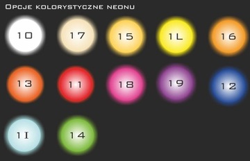 neon LED (z zasilaczem) Kot wąsaty 45x21cm *Produkt Polski*