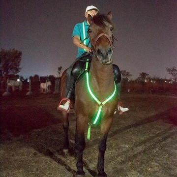 Хохолок Грудь лошади Подседельный ремень Ночная езда