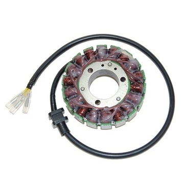 ELECTROSPORT UZWOJENIE ALTERNATORA (STATOR) KAWASA