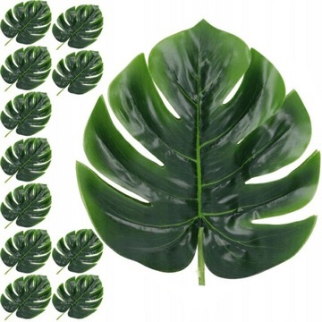 MONSTERA LIŚCIE MONSTERY DUŻE GAŁĄZKI DO STROIKÓW 50cm 12szt PREMIUM