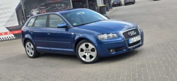 Audi A3 8P Hatchback 3d 1.9 TDI 105KM 2004 Audi A3 Sportback 1,9TDI 105 KM Alu Klima Import Raty Oplaty ASO 1.9, zdjęcie 18
