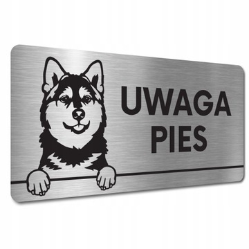 TABLICZKA UWAGA PIES ZŁY PIES GROŹNY PIESEK Pomsky TABLICZKA UWAGA ZŁY PIES