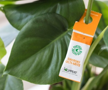 5x SWIRSKI Ulti-Mite zwalcza WCIORNIASTKI i MĄCZLIKI | BIO ROZTOCZA