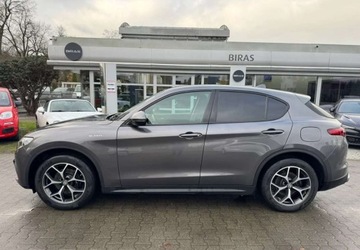 Alfa Romeo Stelvio SUV Facelifting 2.0 Turbo 200KM 2021 Alfa Romeo Stelvio Alfa Romeo Stelvio 2.0 Benzyna 201KM, zdjęcie 8