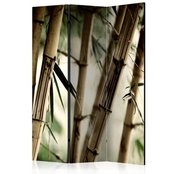 Parawan 3-częściowy - Fog and bamboo forest