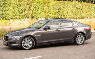 Jaguar XF II Sedan 2.0 i4D 180KM 2016 Jaguar XF XF 2.0D 180KM Full Pano LEdy Skora Camera Navi Full ASO 2.0, zdjęcie 6
