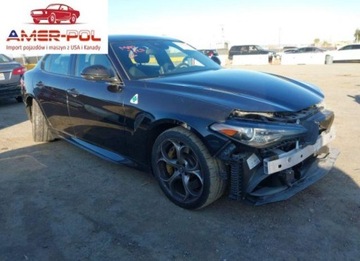 Alfa Romeo Giulia II 2018 Alfa Romeo Giulia Quadrifoglio 2018 2.9l 2.9 Benzyna 505KM
